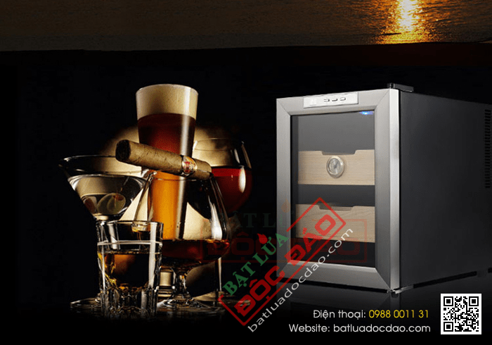 Tủ bảo quản Cigar (xì gà) cắm điện 2 tầng cao cấp - Mã SP: H828